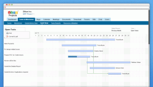 Screenshot of Zoho Projects' tracking